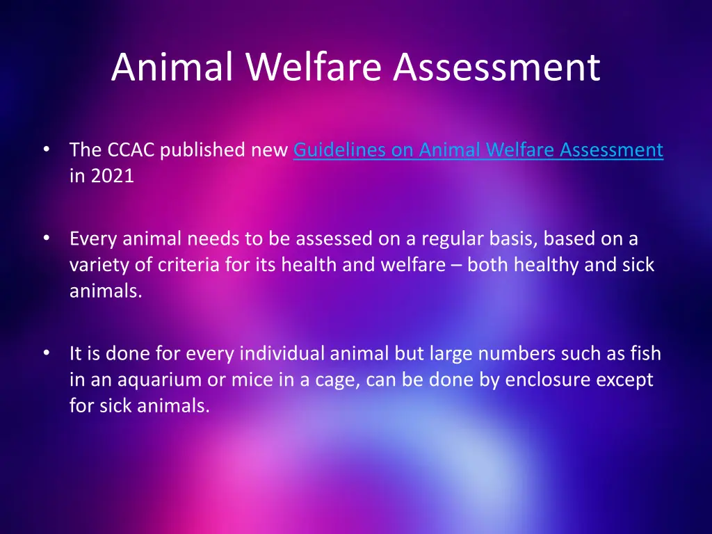 animal welfare assessment