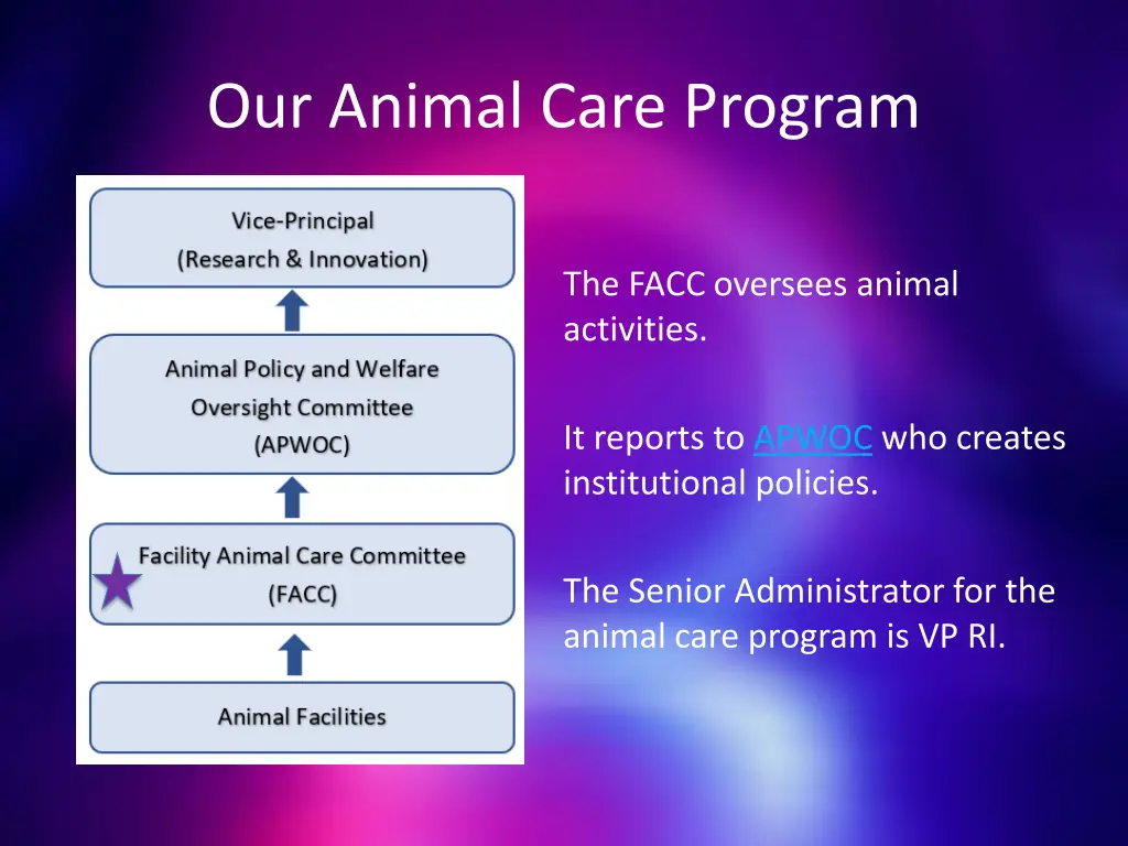 our animal care program