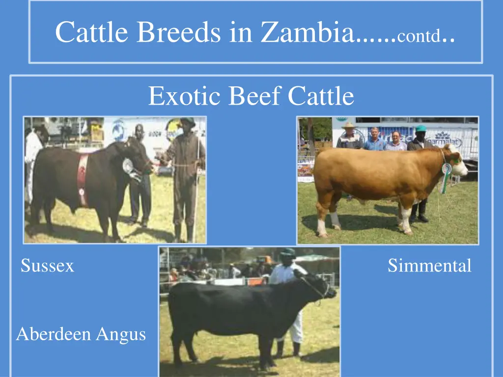 cattle breeds in zambia contd