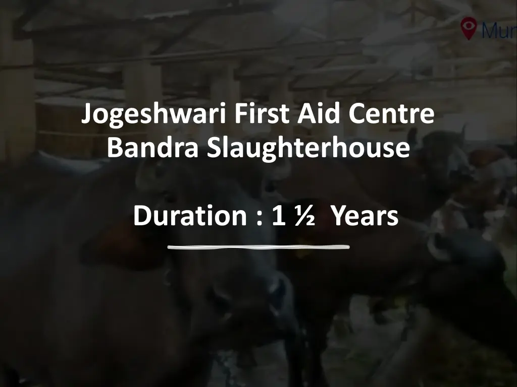 jogeshwari first aid centre bandra slaughterhouse