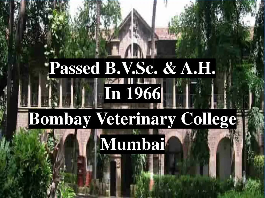 passed b v sc a h in 1966 bombay veterinary