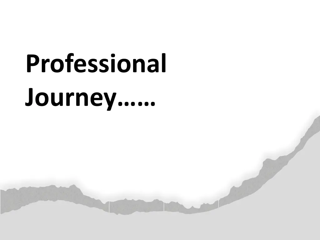 professional journey