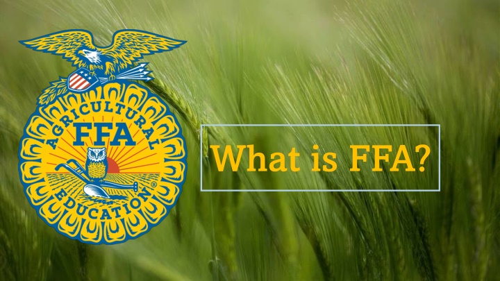 what is ffa