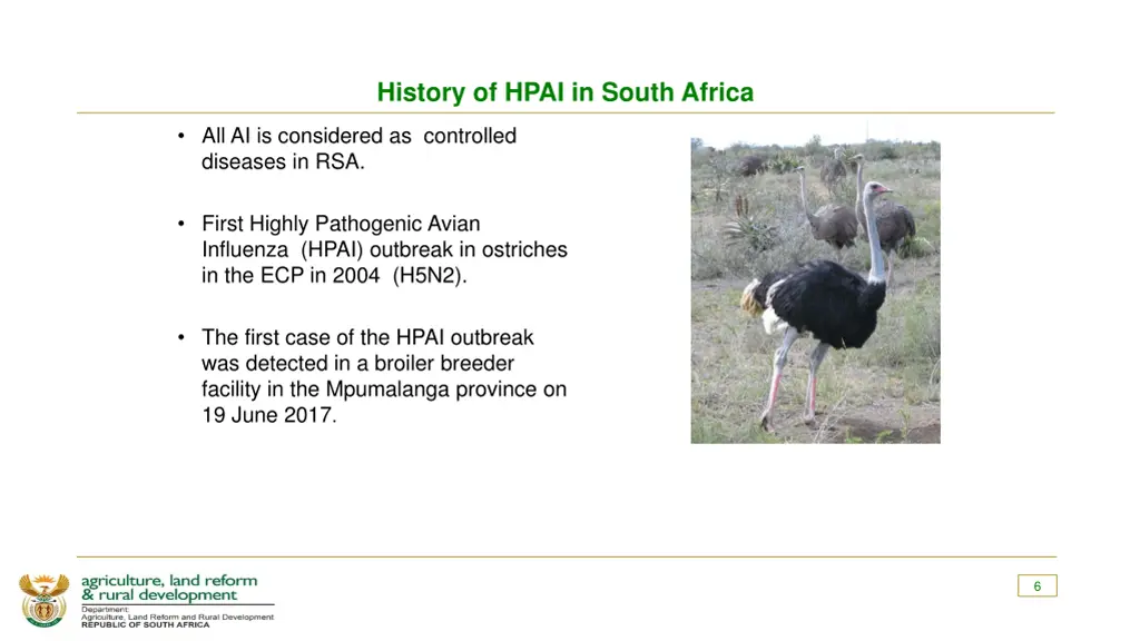 history of hpai in south africa