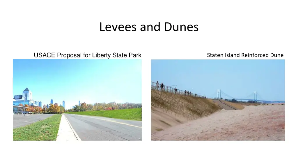 levees and dunes