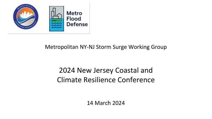 metropolitan ny nj storm surge working group