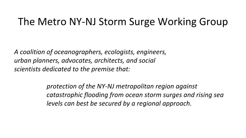 the metro ny nj storm surge working group