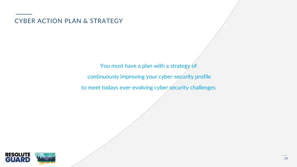 cyber action plan strategy 1