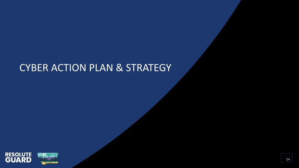 cyber action plan strategy