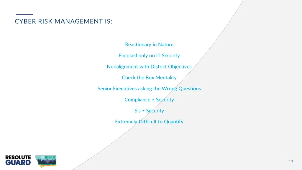 cyber risk management is