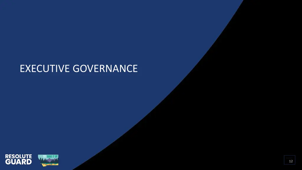 executive governance
