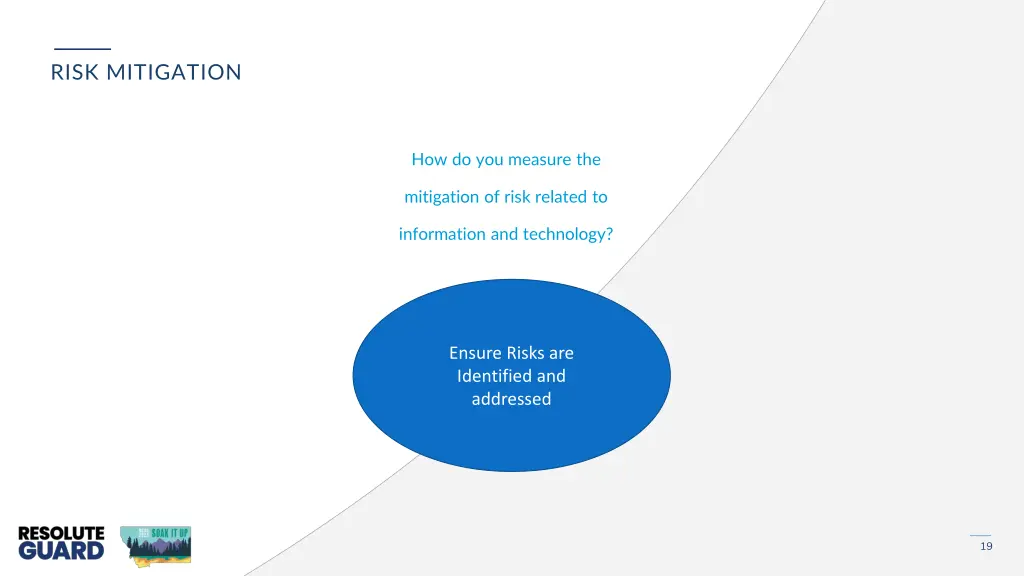risk mitigation