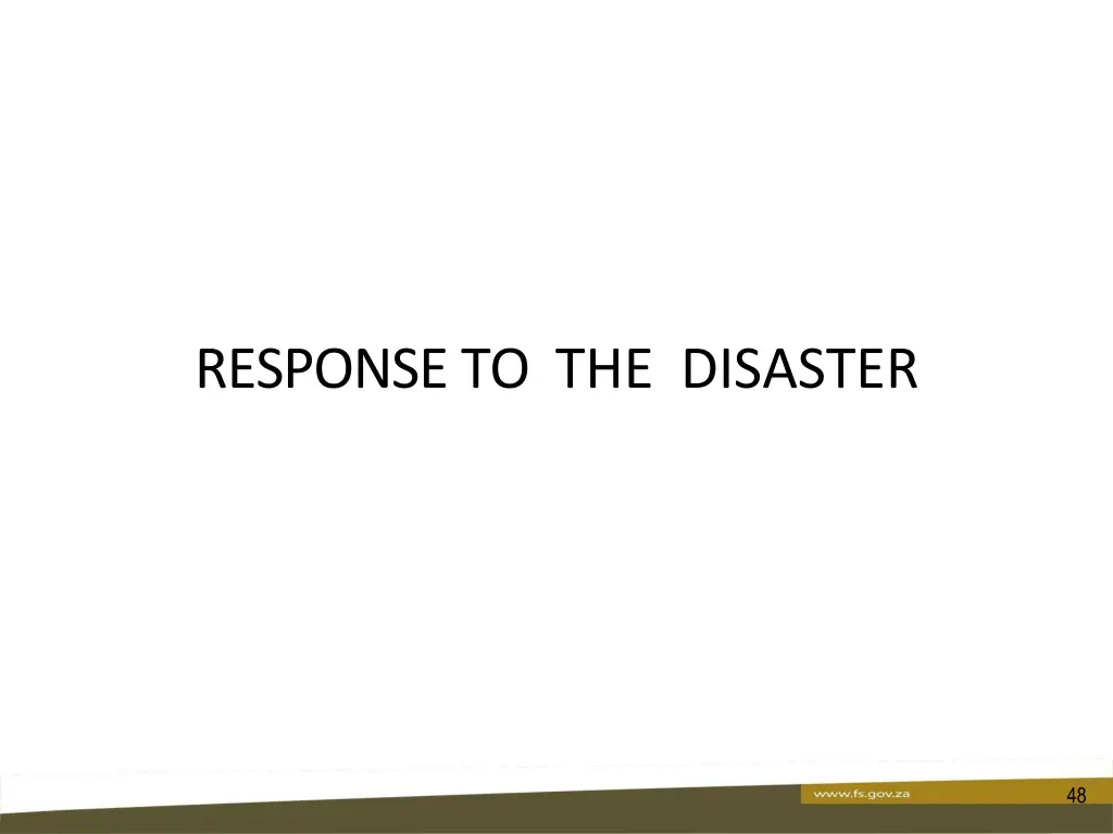 response to the disaster