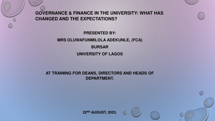 governance finance in the university what