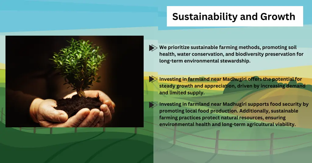 sustainability and growth