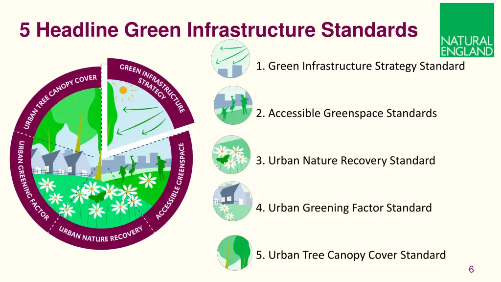 5 headline green infrastructure standards