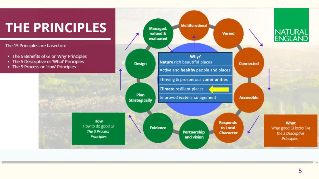 green infrastructure principles