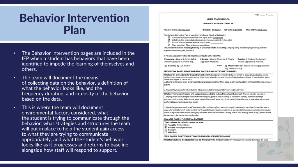 behavior intervention plan