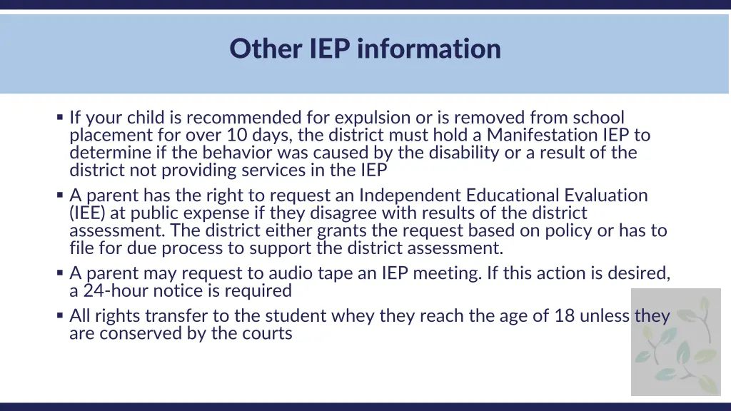 other iep information