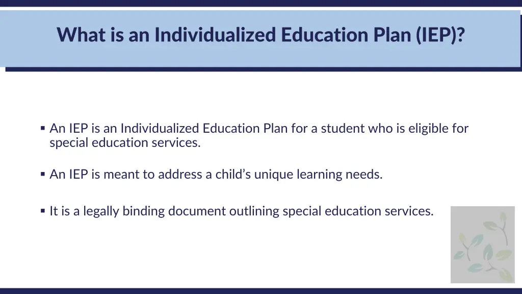 what is an individualized education plan iep