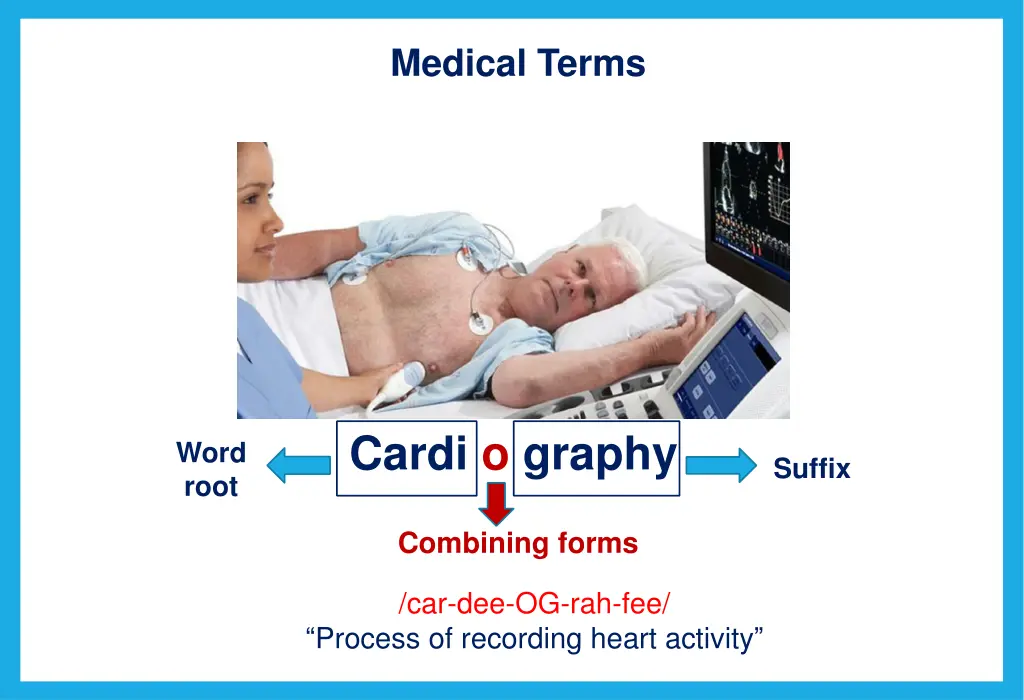 medical terms 2