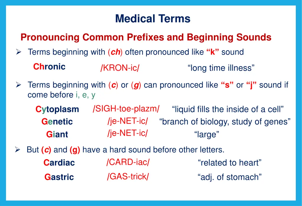 medical terms 7
