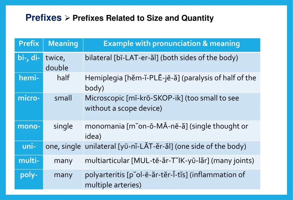 prefixes prefixes related to size and quantity