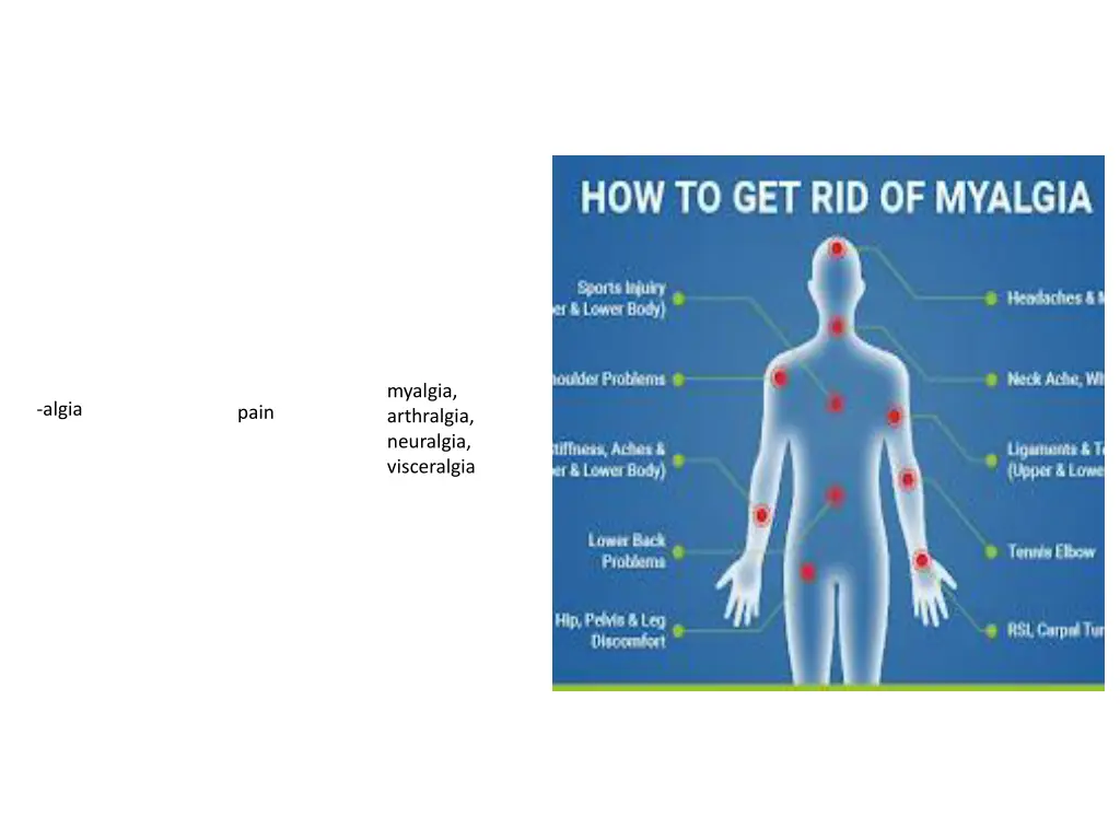 myalgia arthralgia neuralgia visceralgia