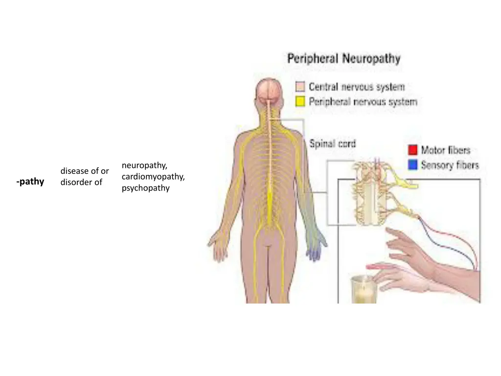 neuropathy cardiomyopathy psychopathy