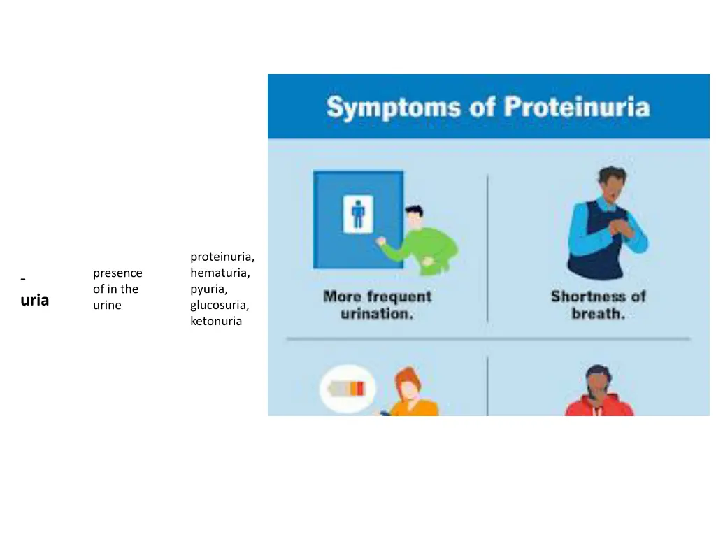 proteinuria hematuria pyuria glucosuria ketonuria