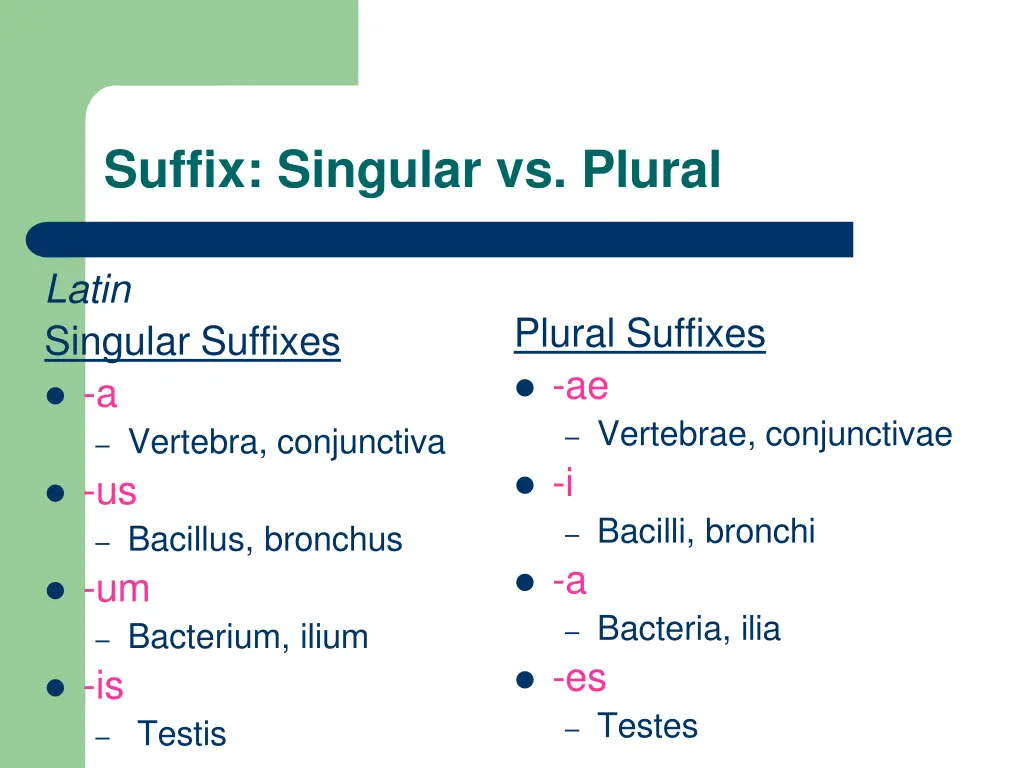 suffix singular vs plural 1