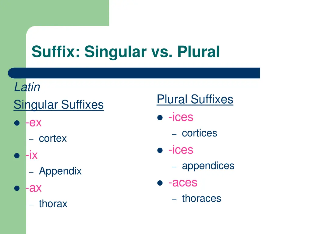 suffix singular vs plural 2