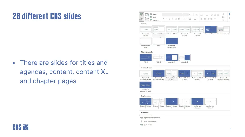 28 different cbs slides