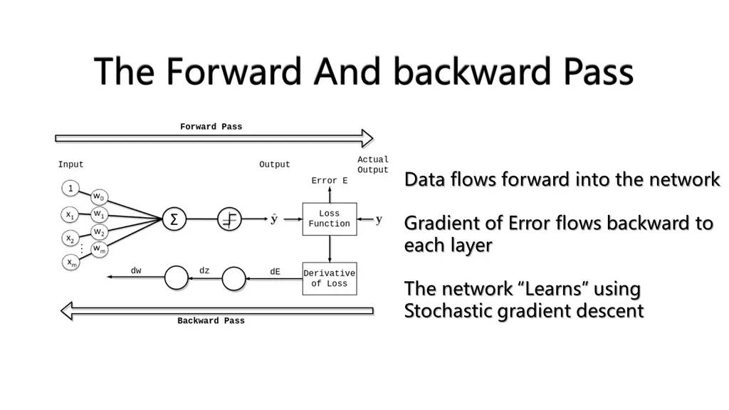 the forward and backward pass