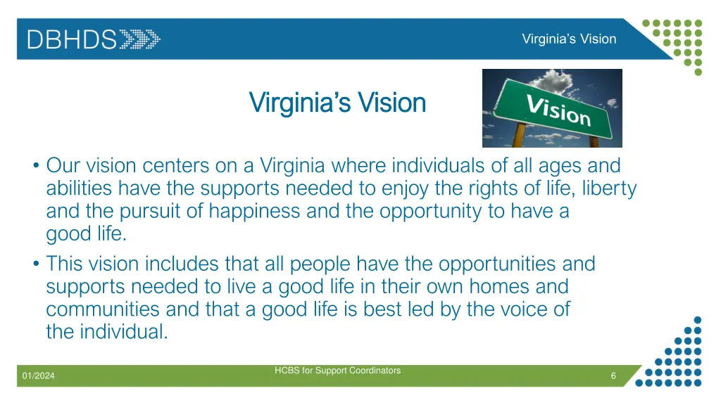 virginia s vision