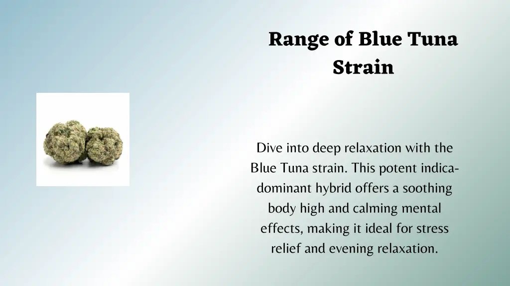 range of blue tuna strain