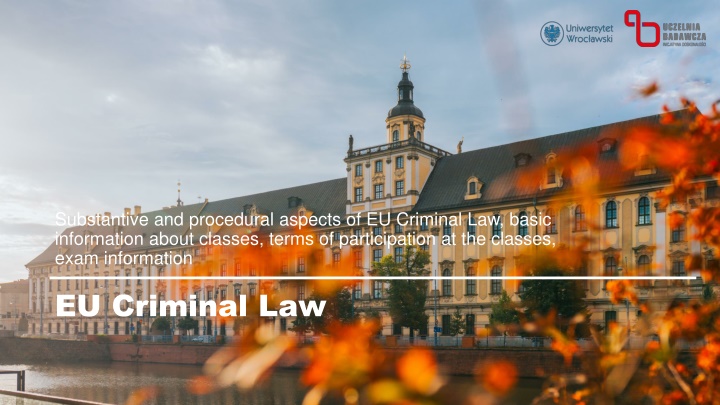 substantive and procedural aspects of eu criminal