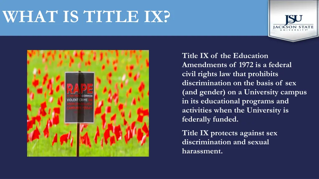 what is title ix