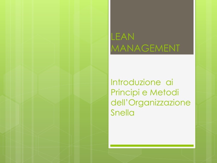 lean management