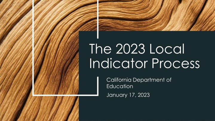 the 2023 local indicator process