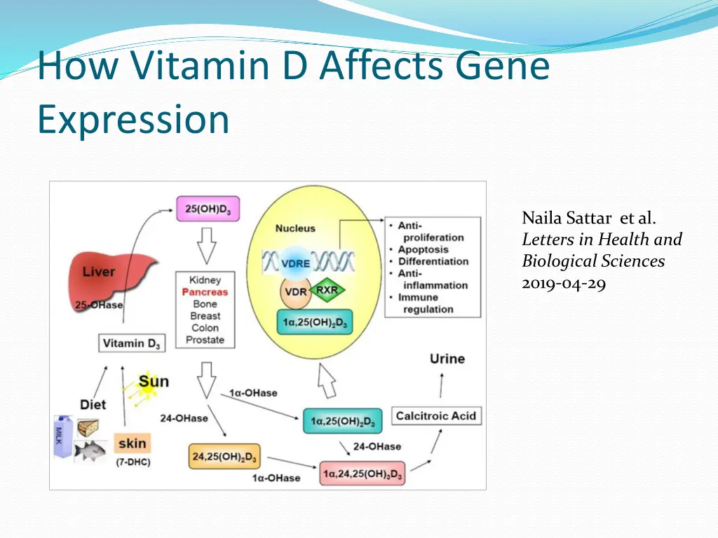 how vitamin d affects gene expression