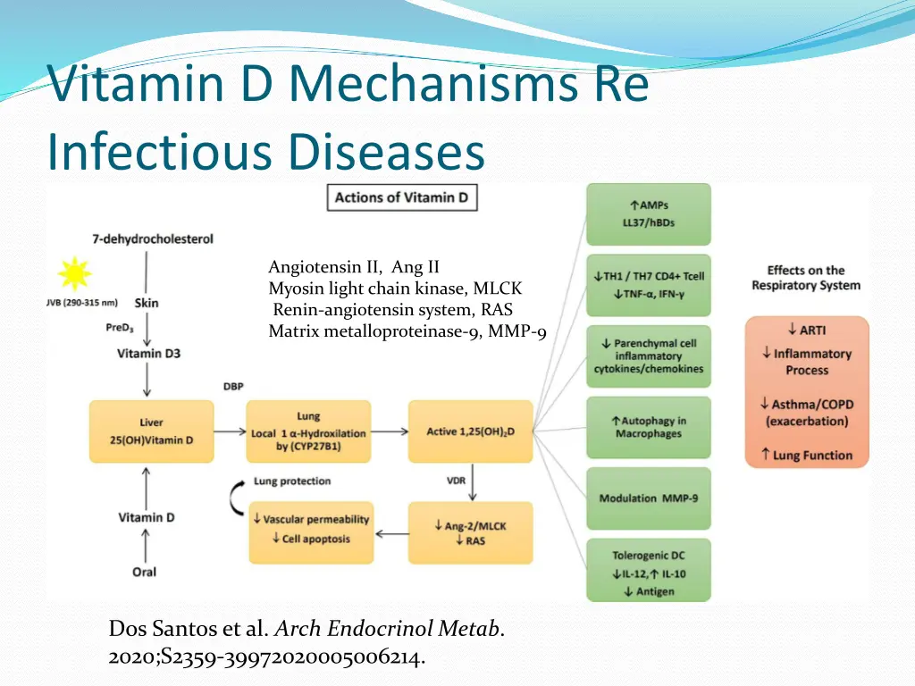 vitamin d mechanisms re infectious diseases