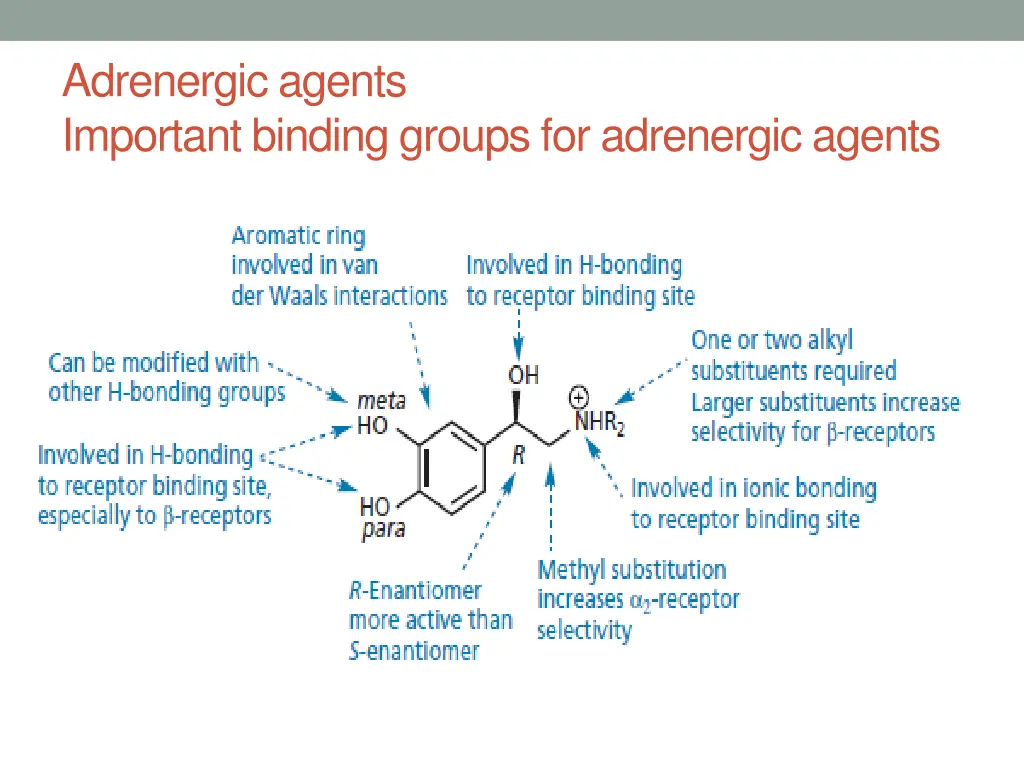 adrenergic agents important binding groups