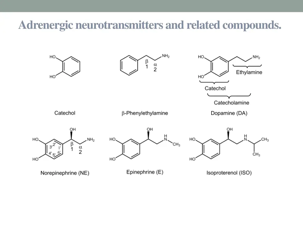 adrenergic neurotransmitters and related compounds
