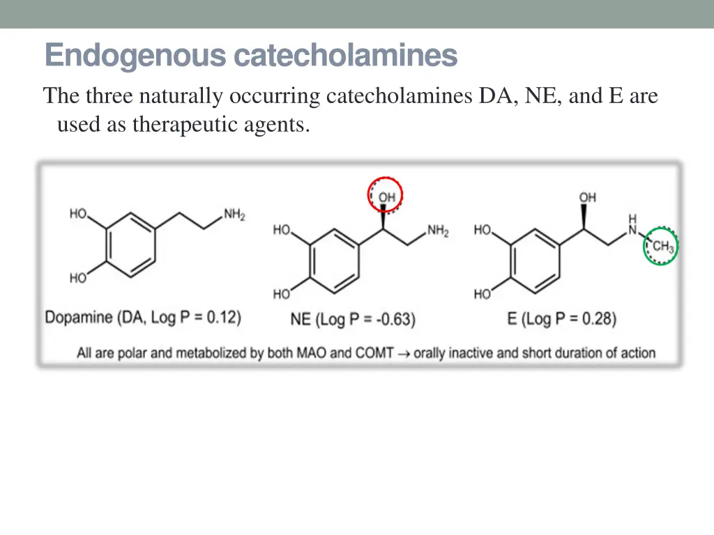 endogenous catecholamines the three naturally