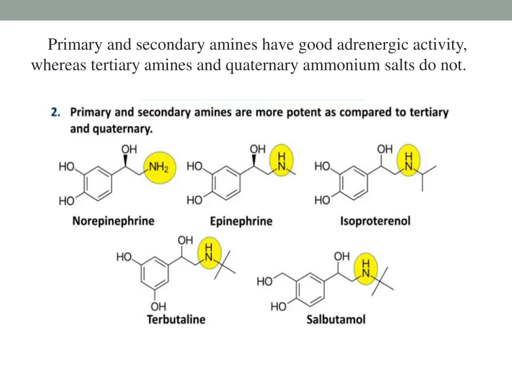 primary and secondary amines have good adrenergic