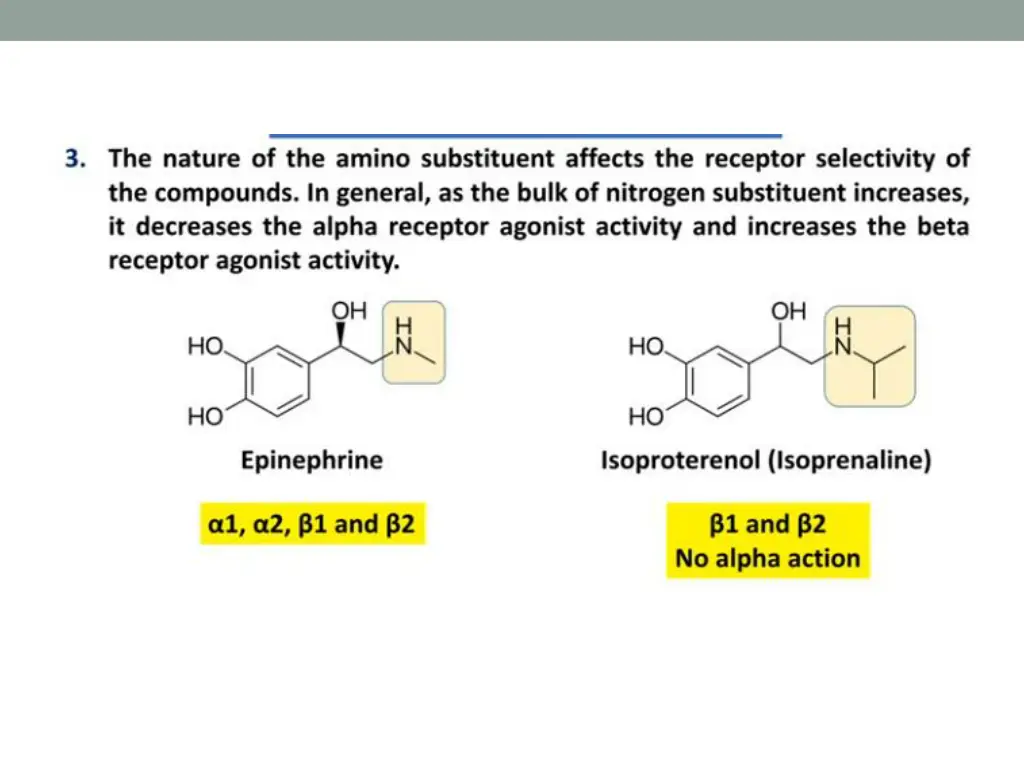 slide29