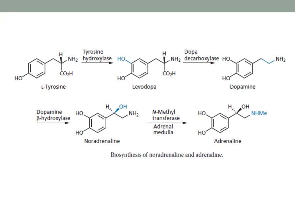 slide9