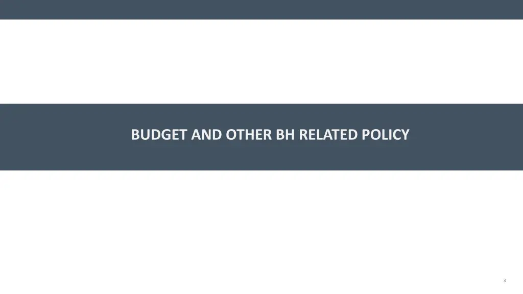 budget and other bh related policy