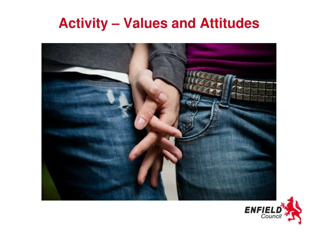 activity values and attitudes